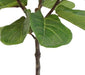 Ficus Lyrata - Stor Kunstig Plante