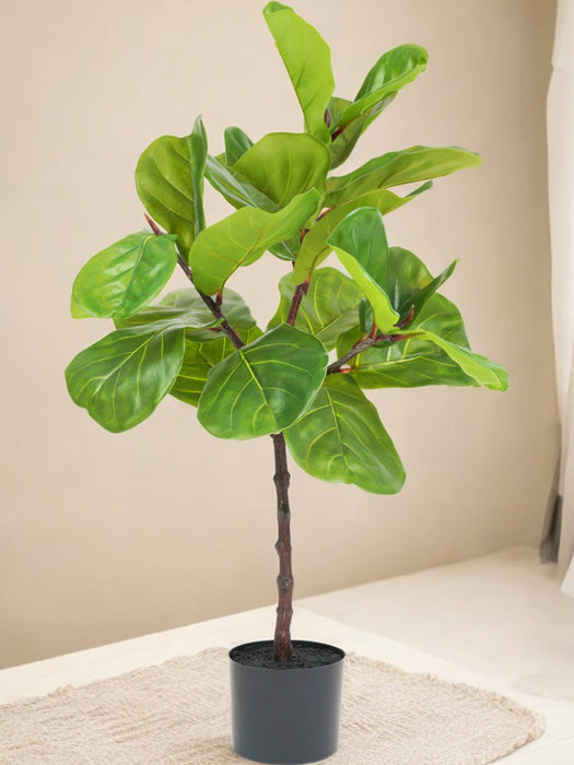 Ficus Lyrata - Stor Kunstig Plante