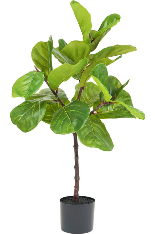 Ficus Lyrata - Stor Kunstig Plante