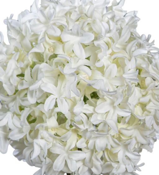 Kunstig Blomster Allium Creme 79Cm Hvitløksstilk