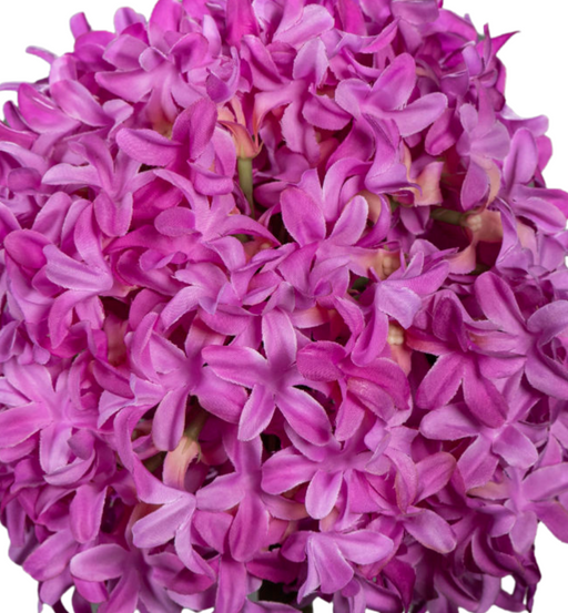 Kunstig Blomst Allium Fuchsia 79 Cm Hvitløksstengel