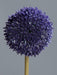 Kunstig Blomst Allium Lavendel 67 Cm