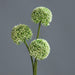 Kunstig Blomst Allium Grønn Sett Med 3 Buketter 46Cm