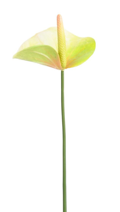 Kunstig Blomst Anthurium Grønn 60Cm Dekorasjon