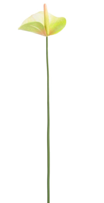 Kunstig Blomst Anthurium Grønn 60Cm Dekorasjon