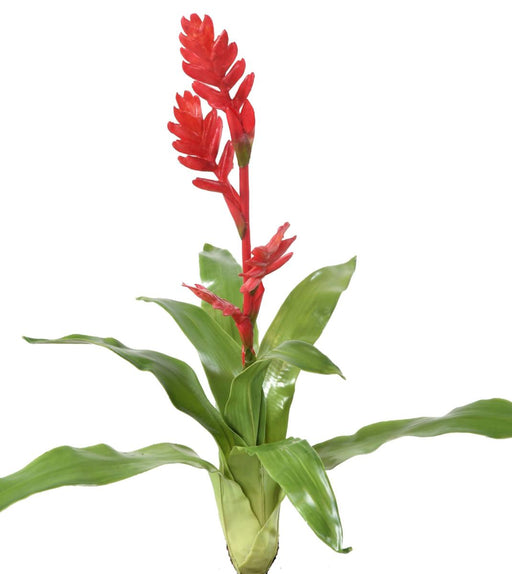 Kunstig Blomst Bromelia Rød 55Cm Dekor