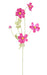 Kunstig Blomst Cosmos Fuchsia H.62Cm For Bukett