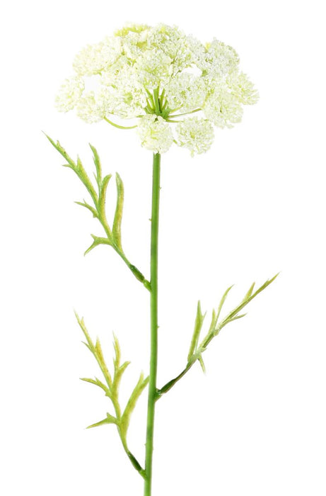 Kunstig Blomst Daucus Hvit 55Cm Til Dekorasjon