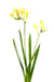 Kunstig Blomst Freesia Gul 60 Cm For Bukett