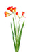 Kunstig Blomst Freesia Orange 60Cm For Bukett