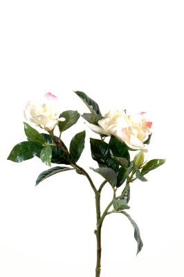 Kunstig Blomst Gardenia Krem Rosa 65Cm