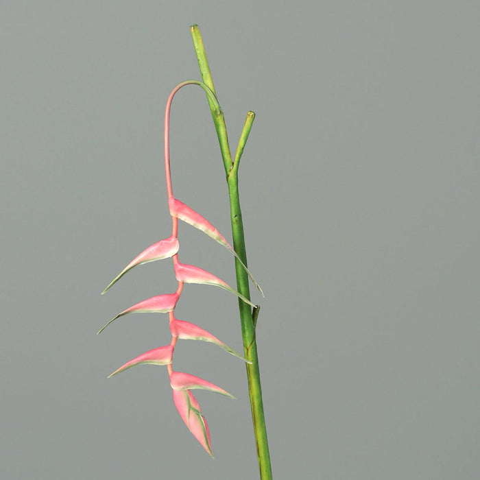 Kunstig Blomst Heliconia Pendula Rosa 116Cm