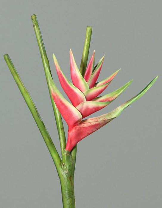 Kunstig Blomst Heliconia Rosa 126Cm Vakker Dekor