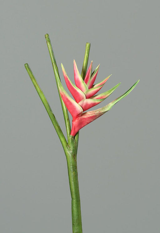 Kunstig Blomst Heliconia Rosa 126Cm Vakker Dekor