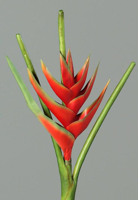 Kunstig Blomst Heliconia Rød 126Cm Tropisk Dekorasjon