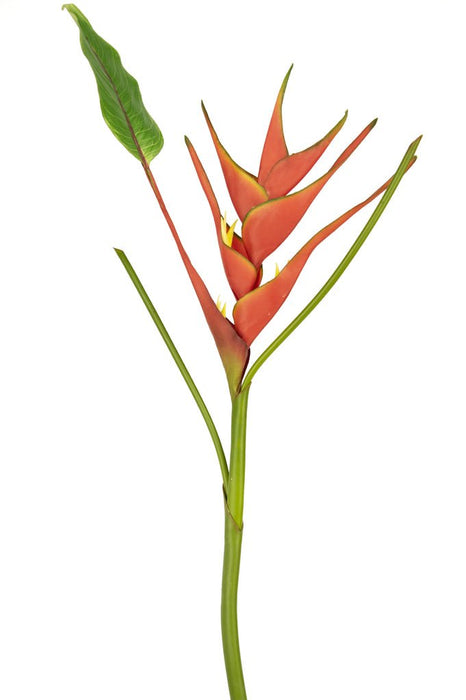 Kunstig Blomst Heliconia Rød