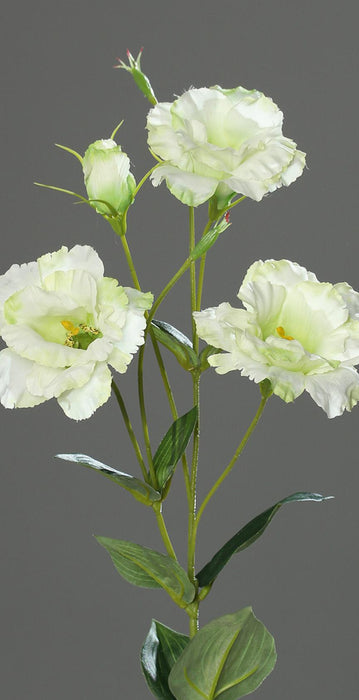 Kunstig Blomst Lisianthus Krem 83Cm