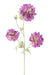 Kunstig Blomst Scabious Lilla 75 Cm Dekorativ Stengel