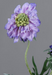 Kunstig Blomst Scabiosa Lavendel 55 Cm Armed Stengel