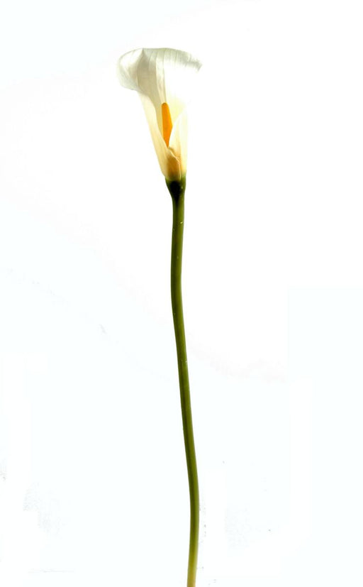 Kunstig Calla Blomst 90Cm Hvit Til Dekorasjon