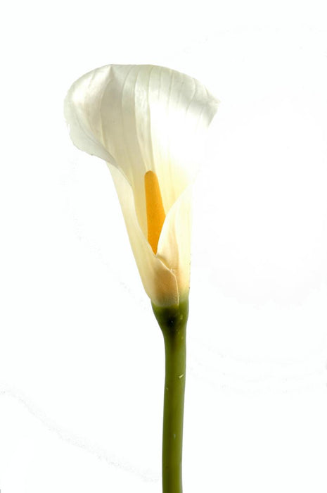 Kunstig Calla Blomst 90Cm Hvit Til Dekorasjon