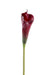 Kunstig Calla Blomst Rød Brun 80 Cm