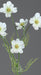 Artificial Cosmos Flower Cream 67Cm Floral Arrangement