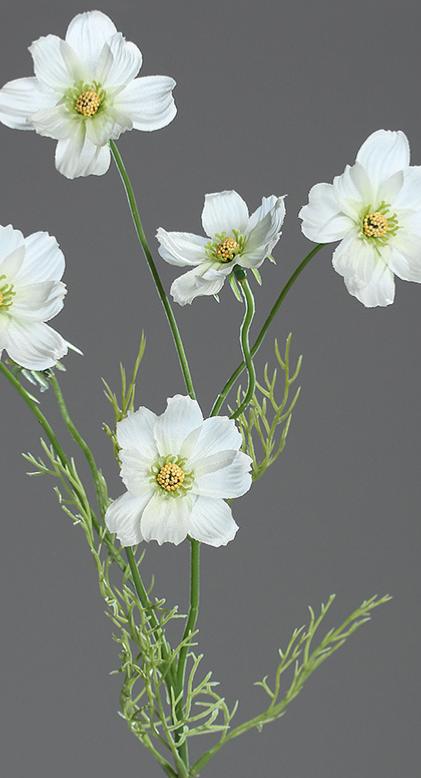 Artificial Cosmos Flower Cream 67Cm Floral Arrangement