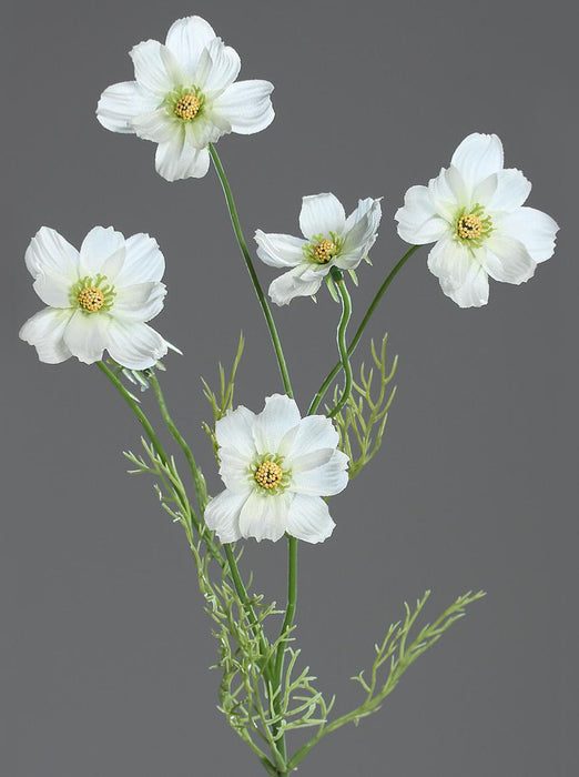 Artificial Cosmos Flower Cream 67Cm Floral Arrangement