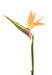 Kunstig Strelitzia Flower Orange 80Cm Dekor