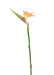 Kunstig Strelitzia Flower Orange 80Cm Dekor