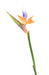 Kunstig Strelitzia Flower Orange 80Cm Dekor