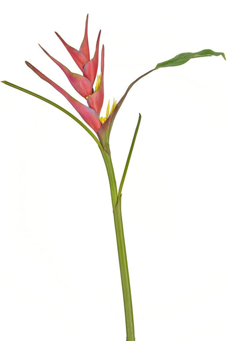 Kunstig Blomst Heliconia Fuchsia