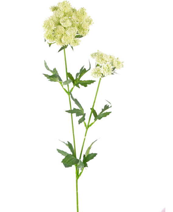 Hvit Blonder Kunstig Blomst