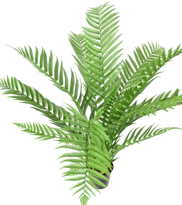 Artificial Fern Dicksonia H.60Cm I Pot