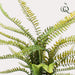 Boston Fern Kunstig Plante - H55Cm, Ø15Cm