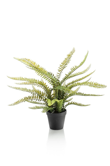 Boston Fern Kunstig Plante - H55Cm, Ø15Cm