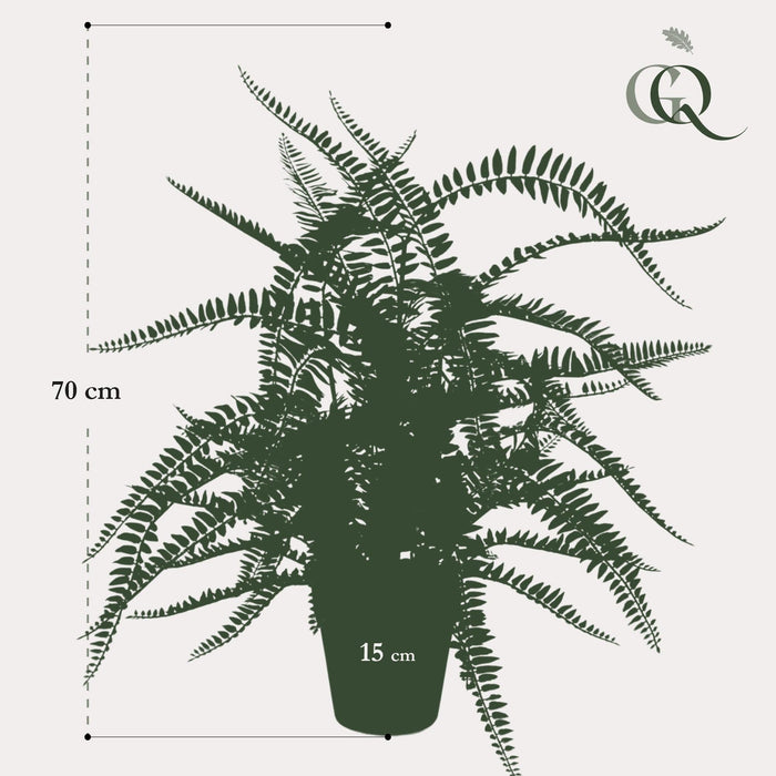 Boston Fern Kunstig Plante - H70Cm, Ø15Cm