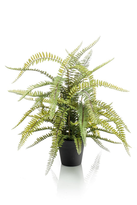 Boston Fern Kunstig Plante - H70Cm, Ø15Cm