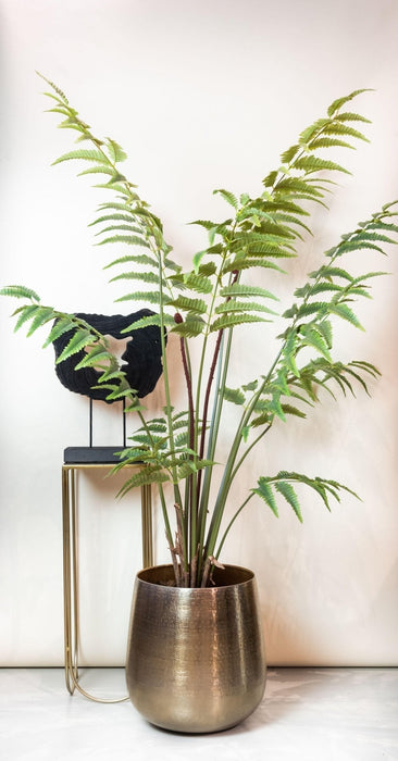 Fern Kunstig Plante - H150Cm, Ø12Cm