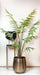 Fern Kunstig Plante - H150Cm, Ø12Cm