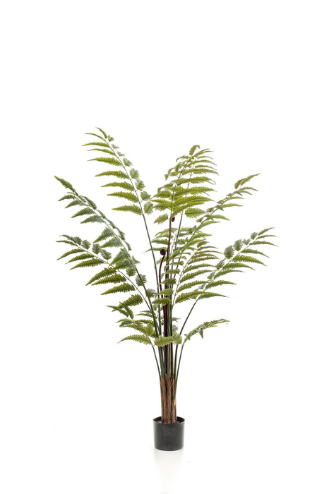 Fern Kunstig Plante - H150Cm, Ø12Cm