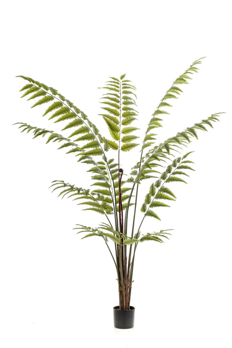 Fern Kunstig Plante - H180Cm, Ø17Cm