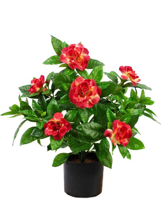 Kunstig Gardenia Fuchsia