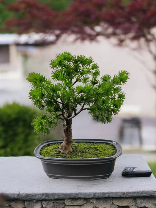 Einer - Kunstig Bonsai