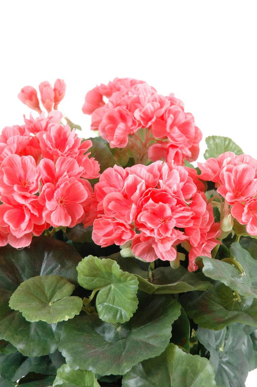 Kunstig Geranium På Stake 35 Cm Laks