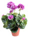 Kunstig Lilla Geranium 40 Cm Med Stake