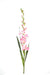 Kunstig Gladiolus Rosa 110Cm For Blomsterdekorasjon