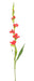 Kunstig Gladiolus Rød 100 Cm For Blomsterdekorasjon