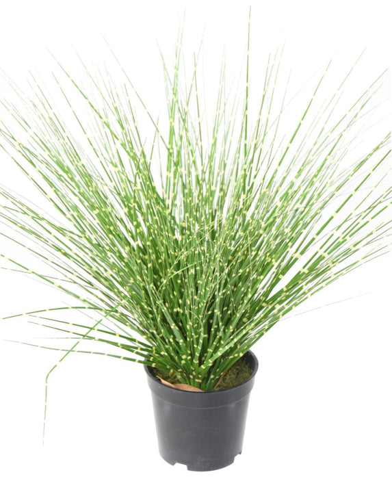 Kunstgress Miscanthus Zebrinus 45Cm Grønn Gul